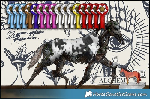 Horse Color:Void Black Tobiano Rabicano  and Grullo Appaloosa Rabicano 