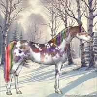 Horse Color:Painted White Spotted Liver Chestnut Mushroom Splash 