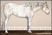 Horse Color:Chocolate Palomino Pearl Tobiano Frame  and White Spotted Chocolate Palomino Pearl Tobiano Frame 