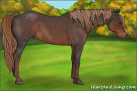 Horse Color:Liver Red Roan 