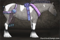 Horse Color:Grullo Roan Tobiano