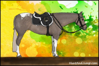 Horse Color:Silver Black Tobiano