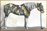 Horse Color:White Spotted Silver Black Chinchilla Splash 