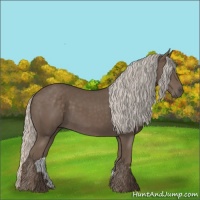 Horse Color:Silver Black 