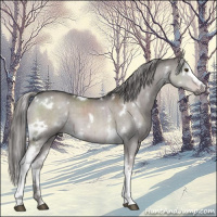 Horse Color:Platinum White Spotted Liver Red Dun Mushroom Brindle 