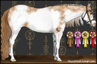 Horse Color:White Spotted Chestnut Sabino Frame Appaloosa 