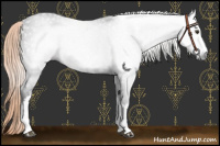 Horse Color:Gray White Spotted Liver Chestnut Appaloosa 