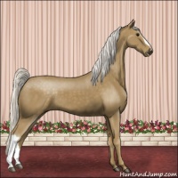 Horse Color:Silver Smoky Black 