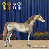 Horse Color:Red Onyx Ice 