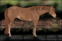 Horse Color:Chestnut  and Chestnut Frame 