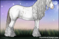 Horse Color:White Spotted Grullo Appaloosa Rabicano and White Spotted Grullo Appaloosa Rabicano