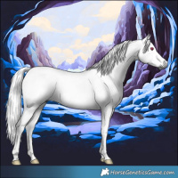Horse Color:Gray Liver Chestnut Chinchilla Tobiano 