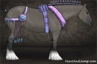 Horse Color:Grullo Rabicano 