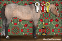 Horse Color:Bay Roan Dun Sabino Rabicano