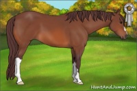 Horse Color:Chocolate Bay 