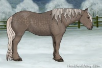 Horse Color:Silver Black 