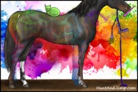 Horse Color:Liver Red Roan 