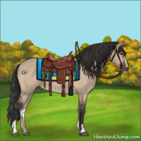 Horse Color:Brown Dun Sabino 
