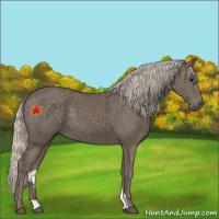 Horse Color:Silver Black 