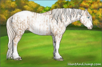 Horse Color:Chocolate Palomino Pearl Sabino Appaloosa Rabicano  and Chocolate Palomino Pearl Sabino Appaloosa Rabicano 