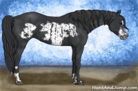 Horse Color:Black  and Black Frame 