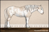 Horse Color:Chocolate Palomino Pearl Sabino Varnish Rabicano  and Chocolate Palomino Pearl Sabino Frame Varnish Rabicano 