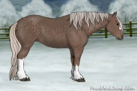 Horse Color:Silver Black 