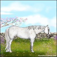 Horse Color:Chocolate Palomino Pearl Sabino Varnish Rabicano  and Gray Chocolate Palomino Pearl Sabino Varnish Rabicano 