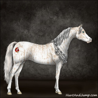Horse Color:Chocolate Palomino Pearl Sabino Appaloosa Rabicano  and Chocolate Palomino Pearl Sabino Appaloosa Rabicano 