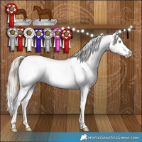 Horse Color:Chocolate Palomino Pearl Sabino Varnish Rabicano  and Chocolate Palomino Pearl Sabino Varnish Rabicano 