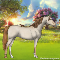 Horse Color:Red Dun Roan 