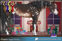 Horse Color:White Spotted Brown Sabino 