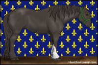 Horse Color:Smoky Black 