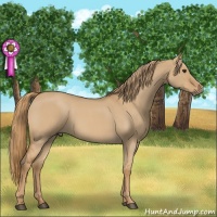 Horse Color:Red Dun Roan 