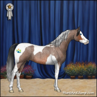 Horse Color:Bay Roan Splash Tobiano