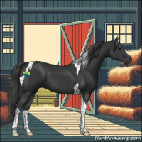 Horse Color:Black Tobiano 