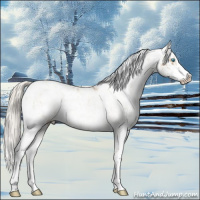 Horse Color:Chocolate Palomino Pearl Sabino Appaloosa Rabicano  and Chocolate Palomino Pearl Sabino Splash Appaloosa Rabicano 