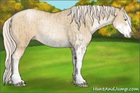 Horse Color:Chocolate Palomino Pearl Mushroom Sabino Appaloosa Rabicano  and Palomino Pearl Sabino Appaloosa Rabicano