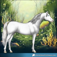 Horse Color:Chocolate Palomino Pearl Sabino Appaloosa Rabicano and Chocolate Palomino Pearl Sabino Frame Appaloosa Rabicano