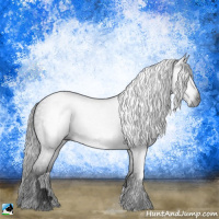 Horse Color:Gray Black 