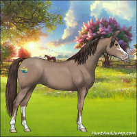 Horse Color:Classic Champagne Sabino 