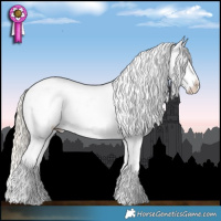 Horse Color:Chocolate Palomino Pearl Dun Sabino Tobiano Appaloosa Rabicano Brindle  and Chocolate Palomino Pearl Sabino Appaloosa 