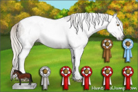 Horse Color:Gray Silver Black Pearl Tobiano 