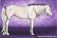 Horse Color:Cremello Tobiano 