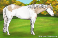 Horse Color:Chocolate Palomino Pearl Sabino Appaloosa Rabicano  and Chocolate Palomino Pearl Sabino Splash Appaloosa Rabicano 