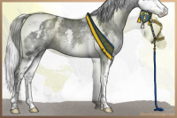 Horse Color:White Spotted Silver Black Chinchilla Splash Tobiano 