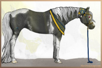 Horse Color:White Spotted Silver Black Chinchilla Tobiano 