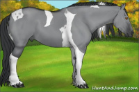 Horse Color:Grullo Chinchilla Tobiano 