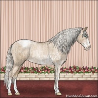 Horse Color:Chocolate Palomino Pearl Sabino Varnish Rabicano  and Chocolate Palomino Pearl Sabino Varnish Rabicano 