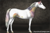 Horse Color:Nacre Silver Buckskin Splash Tobiano 